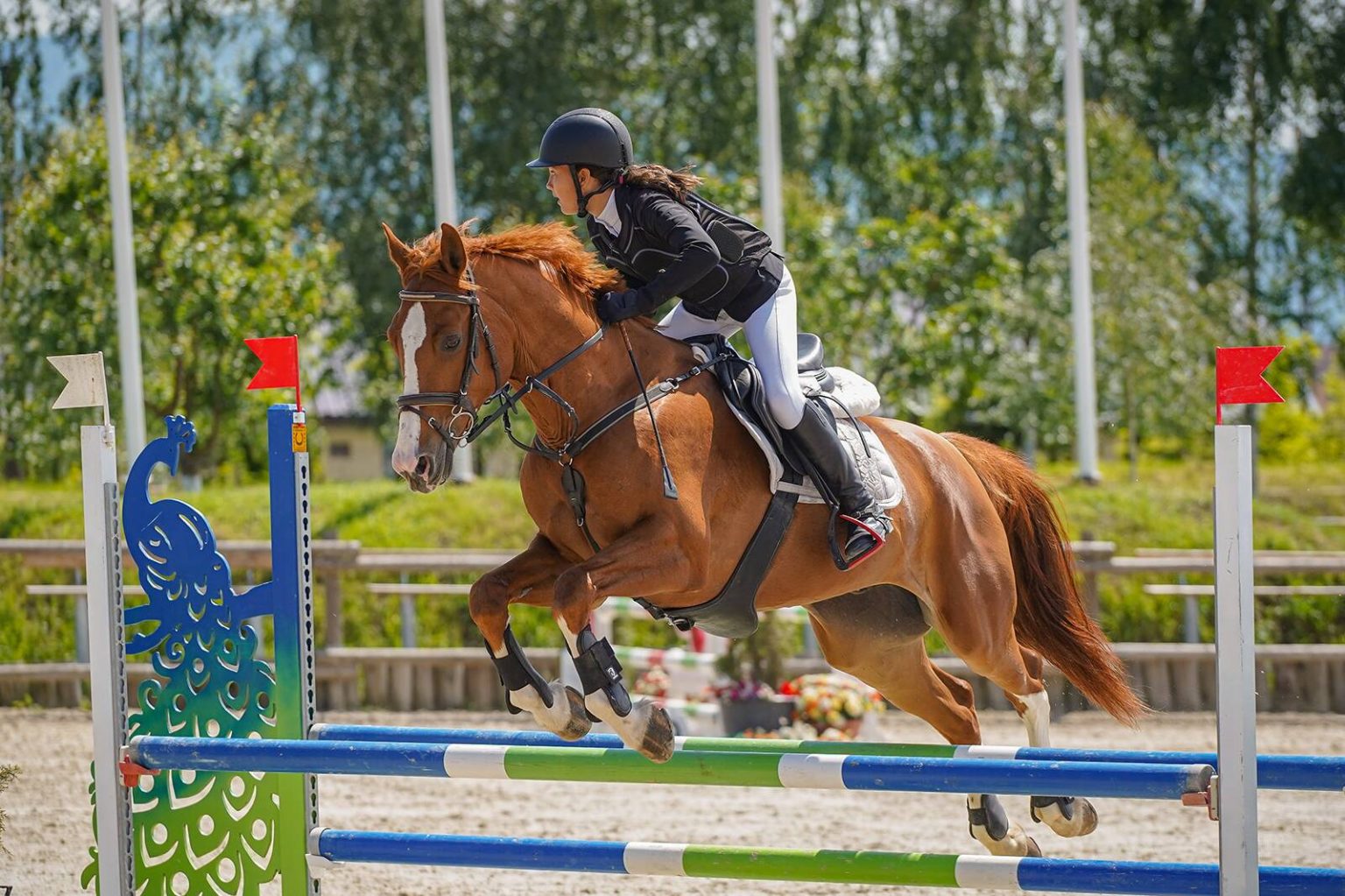 O Ședință Inițiere în CĂLĂRIE (20 min)