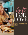 Experiența PLEIADA: “Gift For Love”