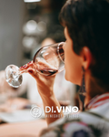 O Degustare de Vinuri la DI.VINO: “Entry Level”
