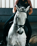 O Ședință Inițiere în CĂLĂRIE (20 min)