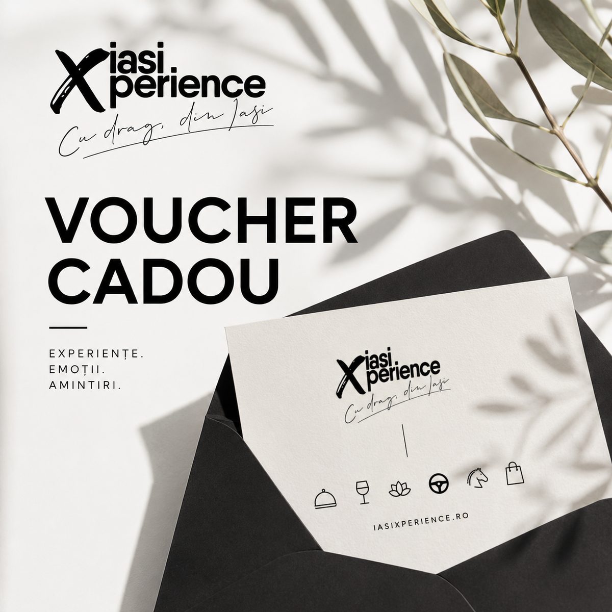 Voucher Cadou iasiXperience
