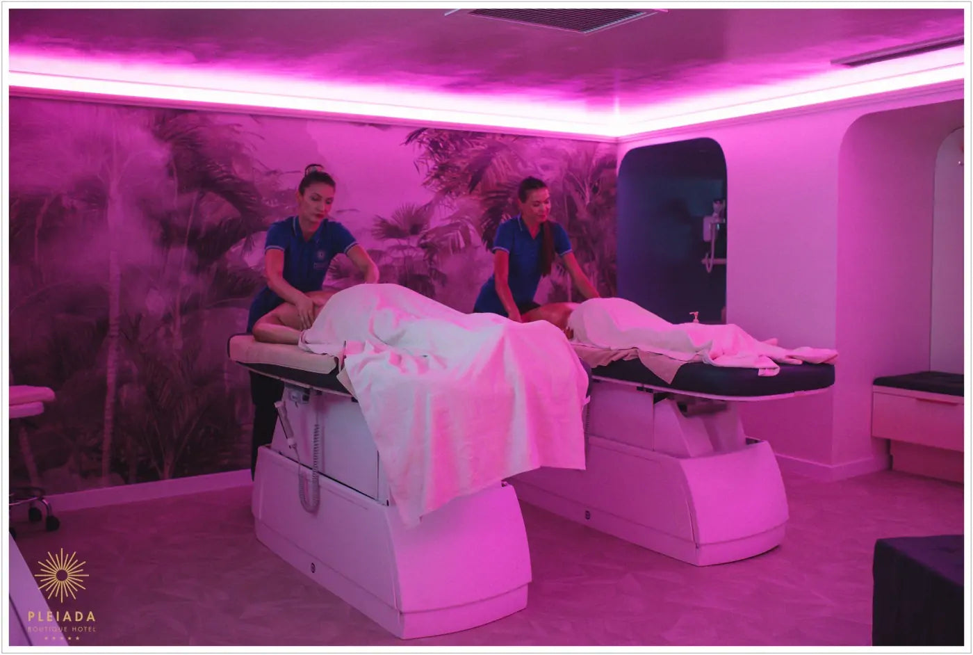 Experiența PLEIADA: “La Vie En Rose”