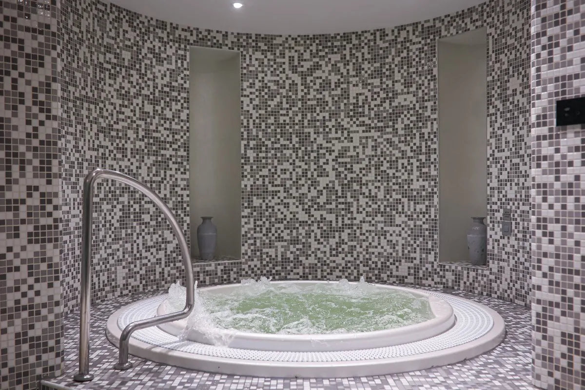 Experiența PLEIADA: “La Vie En Rose”