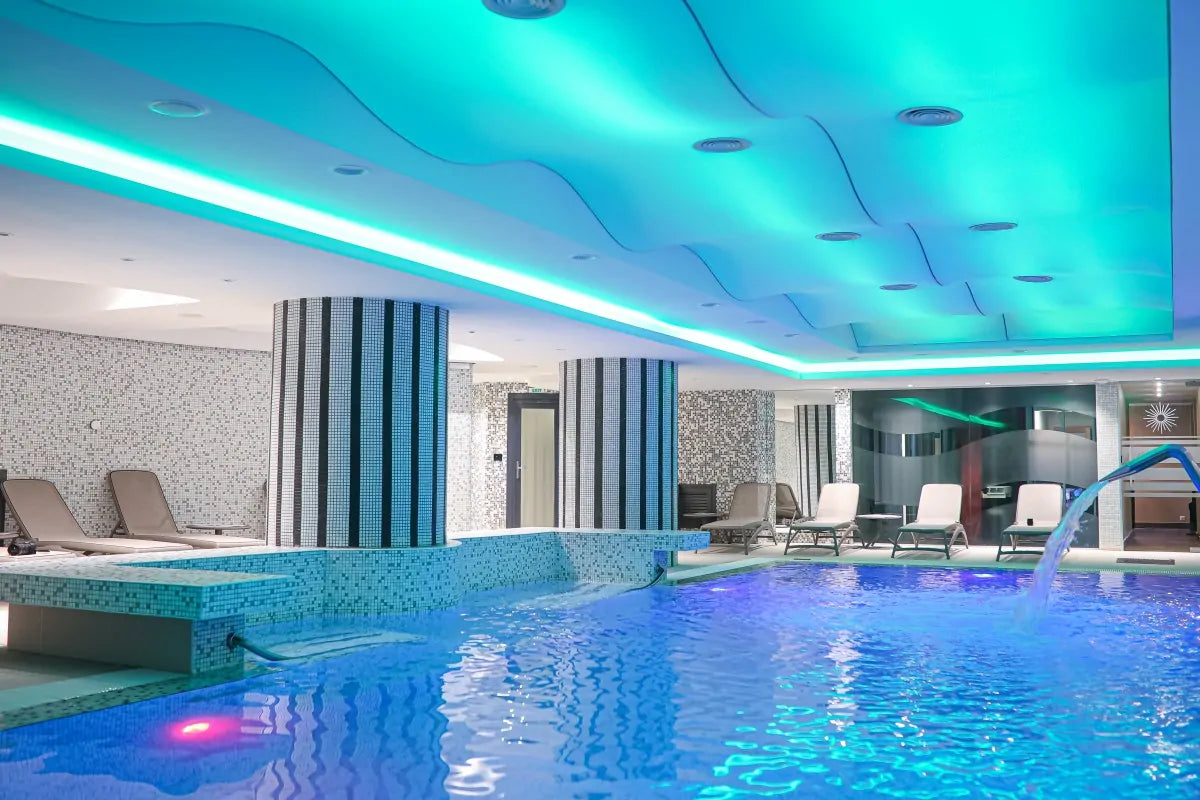 Experiența PLEIADA: “La Vie En Rose”