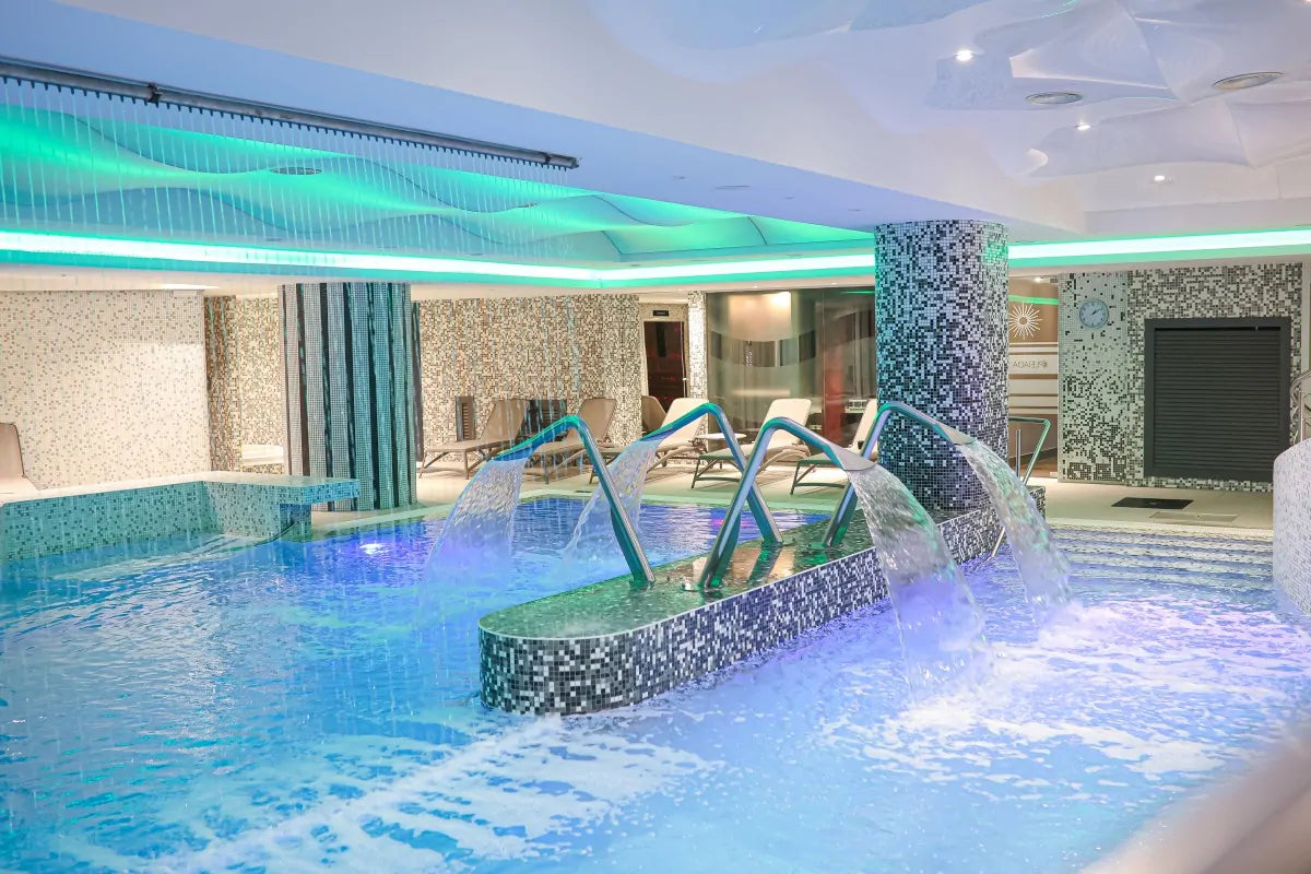 Experiența PLEIADA: “La Vie En Rose”