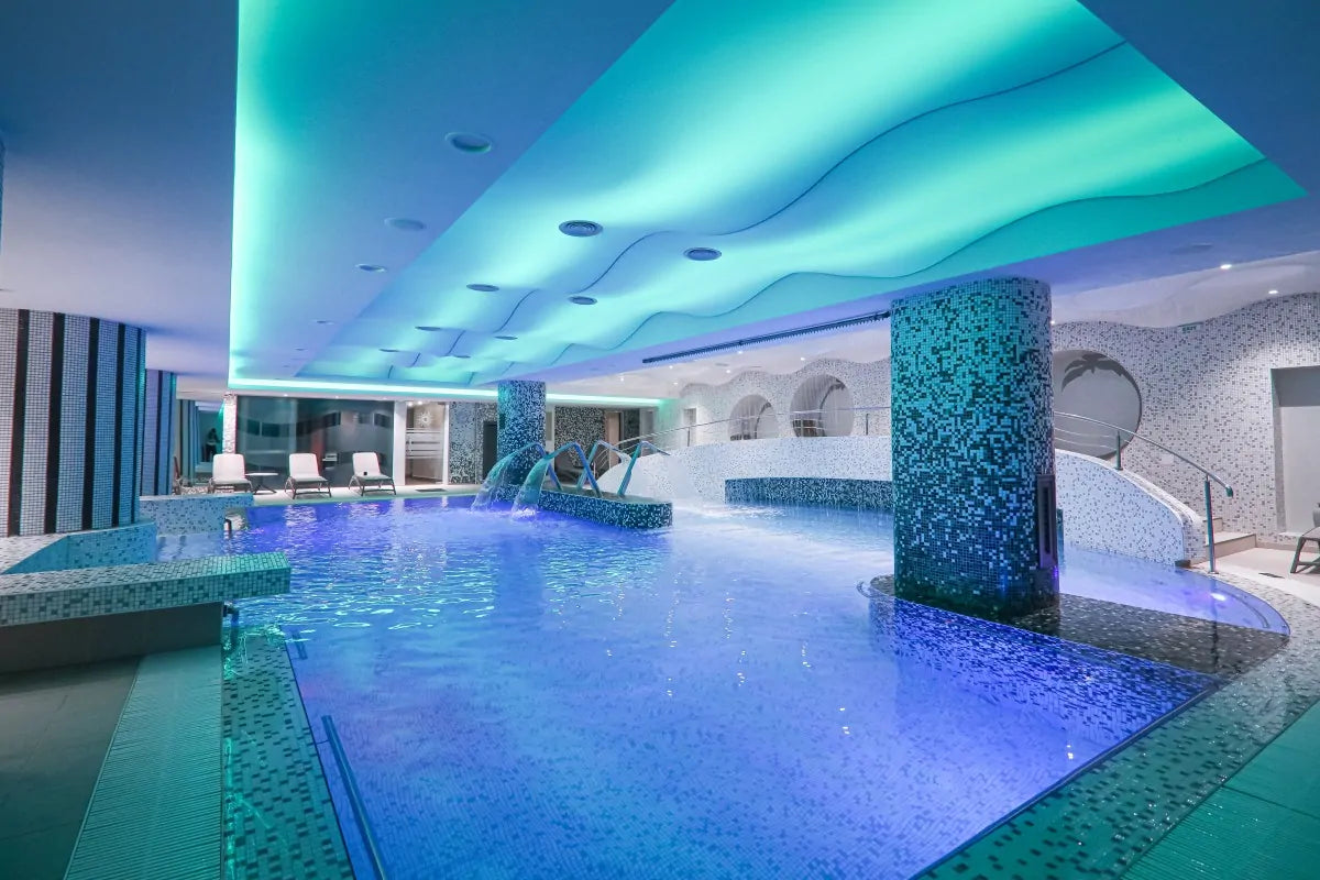 Experiența PLEIADA: “La Vie En Rose”